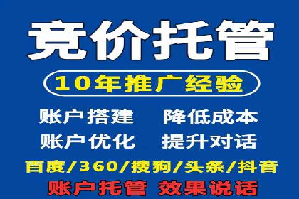 SEM优化策略案例分析